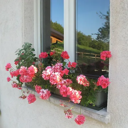 Terre Di Casalia Фермерский дом Casina