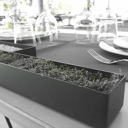 Фермерский дом Terre Di Casalia