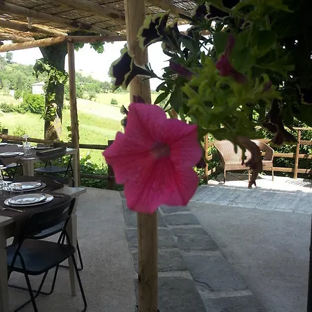 Terre Di Casalia Casina