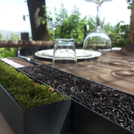 Terre Di Casalia Фермерский дом *