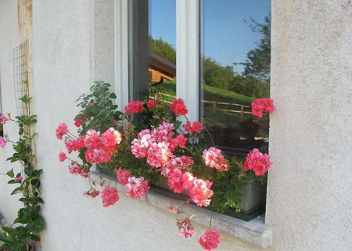 Terre Di Casalia בית חווה Casina