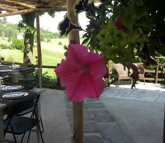 Terre Di Casalia Casina