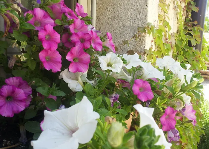 בית חווה Terre Di Casalia Casina